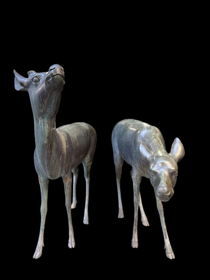A superb 19thC. pair of life-size bronze sculptures depicting a doe and a stag, exquisitely detailed and featuring a magnificent antique patina. The deer show signs of wear and have undergone some previous restoration