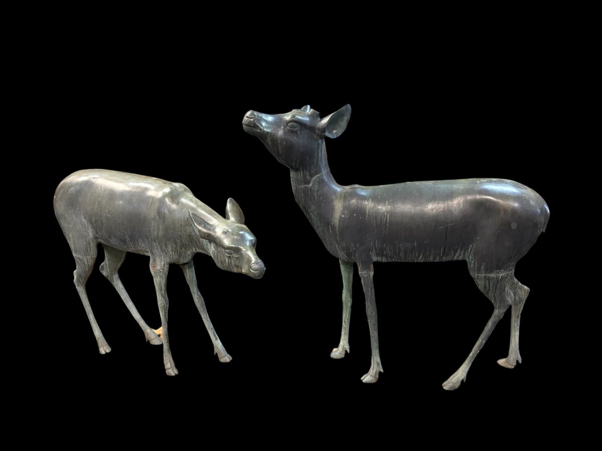 A superb 19thC. pair of life-size bronze sculptures depicting a doe and a stag, exquisitely detailed and featuring a magnificent antique patina. The deer show signs of wear and have undergone some previous restoration