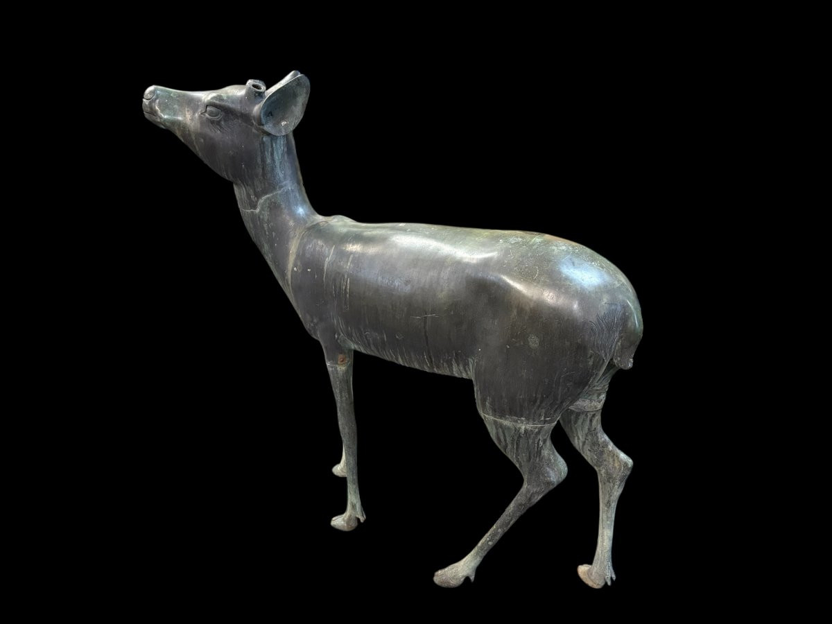 A superb 19thC. pair of life-size bronze sculptures depicting a doe and a stag, exquisitely detailed and featuring a magnificent antique patina. The deer show signs of wear and have undergone some previous restoration