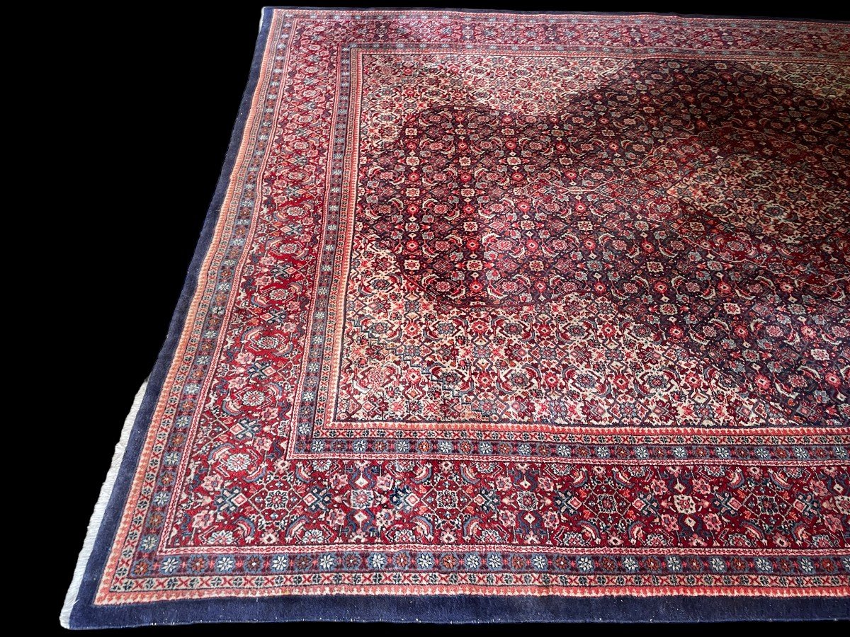Large carpet Senneh in wool , Iran, 20th century ( 271 x 382 cm ). Persish Carpet with beautiful colours in very good condition. Dimensions : Width : 271 cm Length : 382 cm