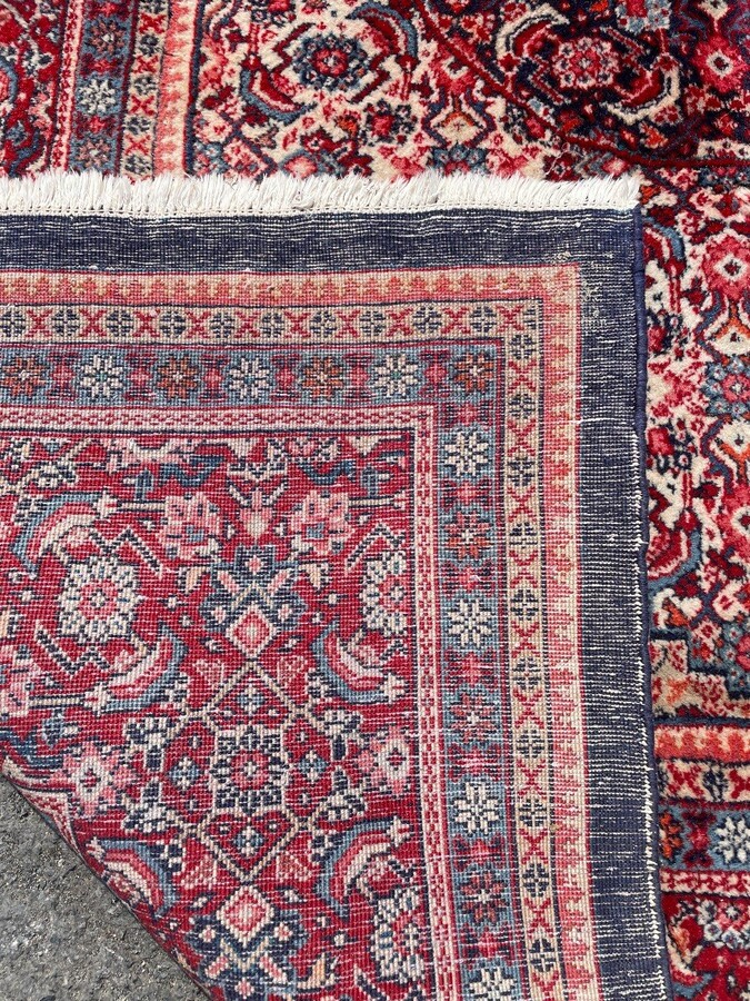 Large carpet Senneh in wool , Iran, 20th century ( 271 x 382 cm ). Persish Carpet with beautiful colours in very good condition. Dimensions : Width : 271 cm Length : 382 cm