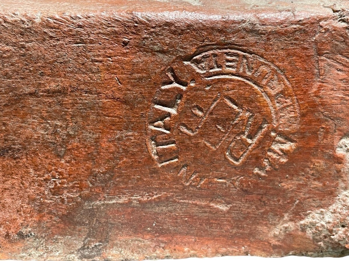 Pair of decorative lions with shields in terra cotta Beautiful pair of lions from Florence Italy from around 1900-1920. Both in good condition with some minor defects